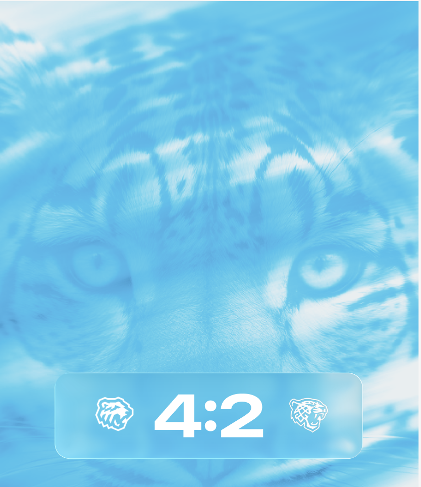 new-preview