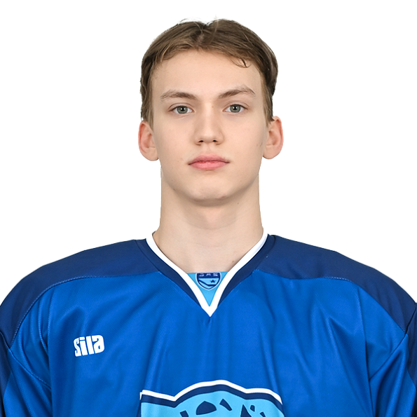 АНДРЕЙ ЦЕРУЛЬНИКОВ