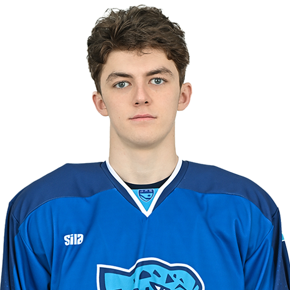 АМИР ГАФУРОВ
